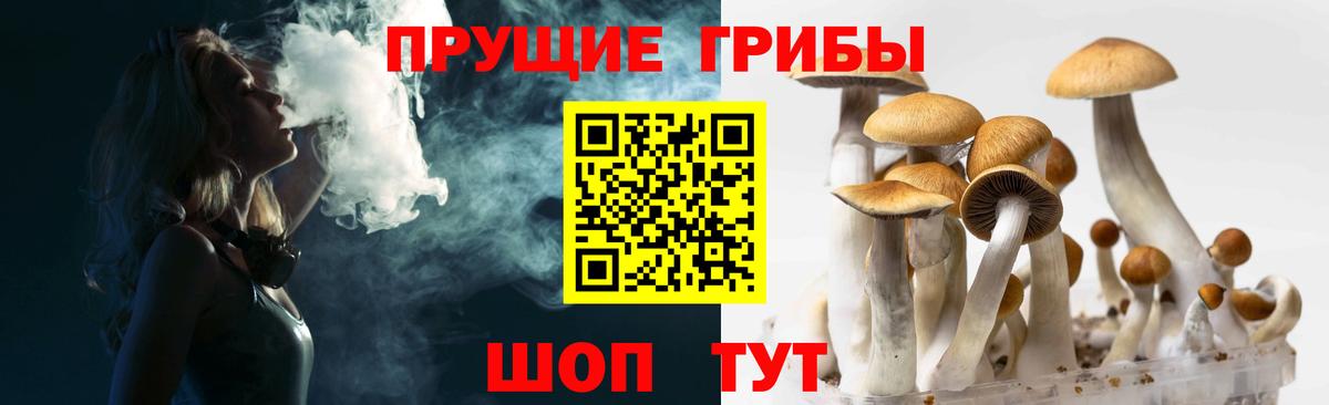 Галлюциногенные грибы MAGIC MUSHROOMS  Галлюциногенные грибы GOLDEN TEACHER  Славгород  Вход с VPN 